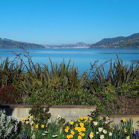 Arts Content Harbour View Macandrew Bay Exterior foto