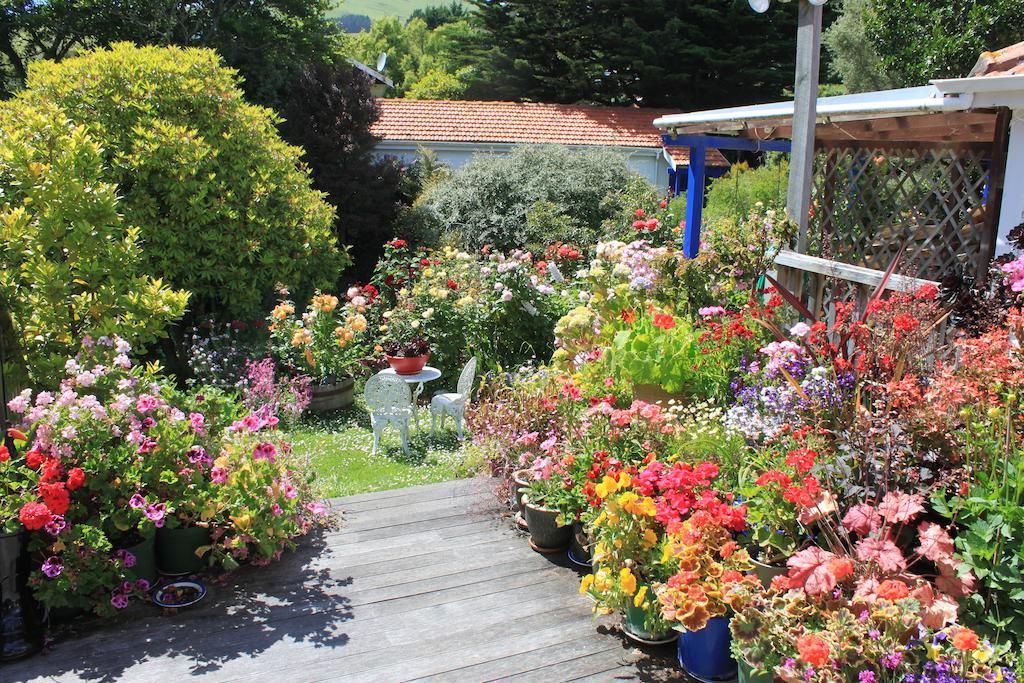 Arts Content Harbour View Macandrew Bay Exterior foto