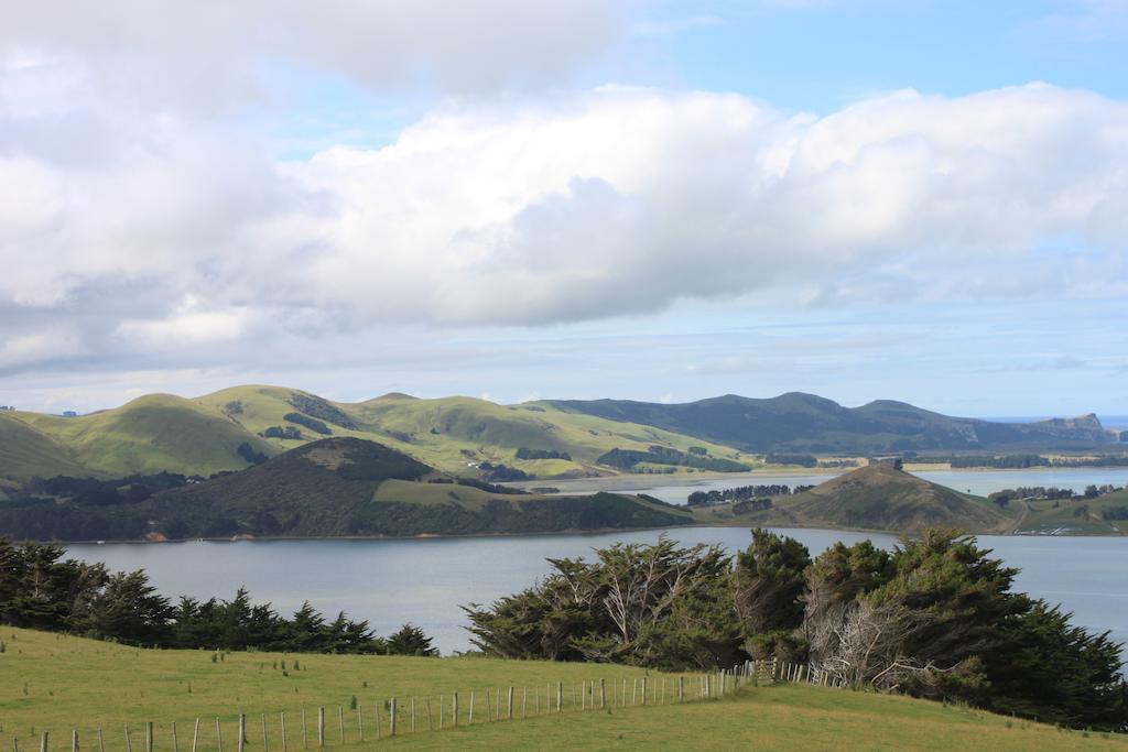 Arts Content Harbour View Macandrew Bay Exterior foto
