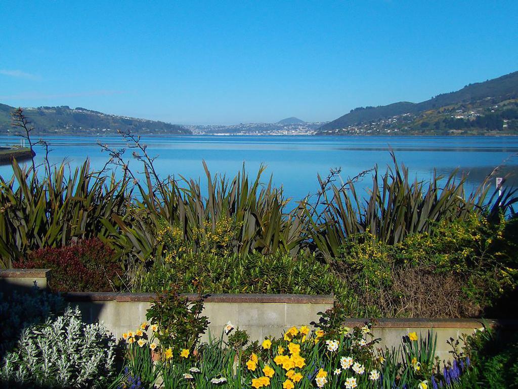 Arts Content Harbour View Macandrew Bay Exterior foto
