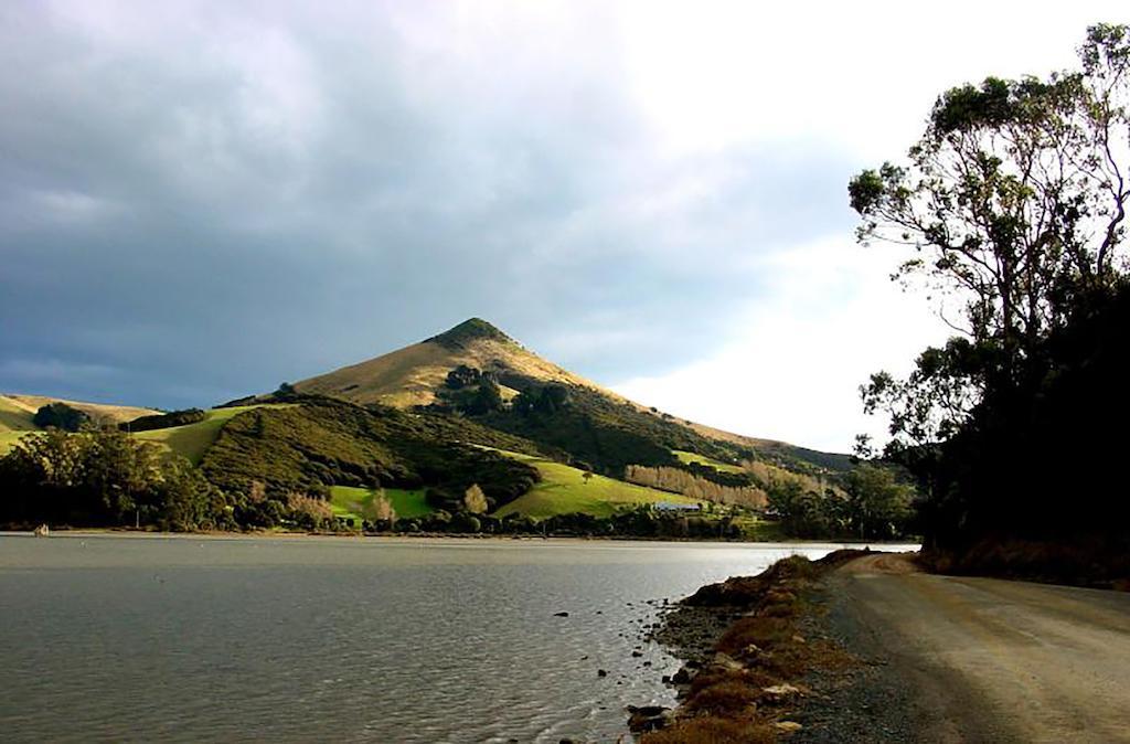 Arts Content Harbour View Macandrew Bay Exterior foto