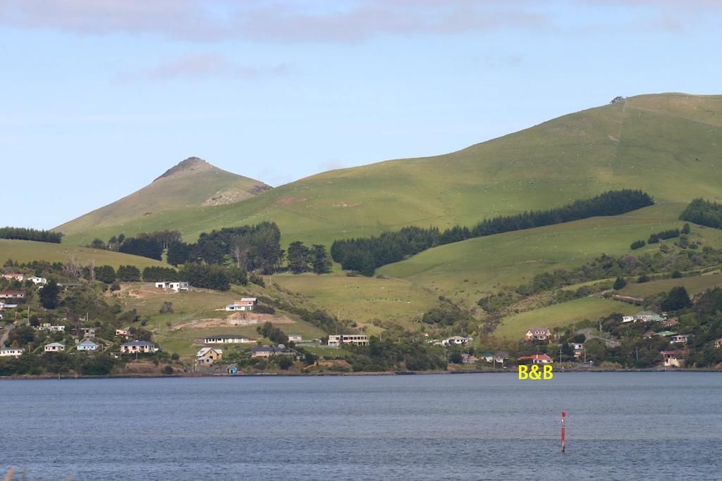 Arts Content Harbour View Macandrew Bay Exterior foto