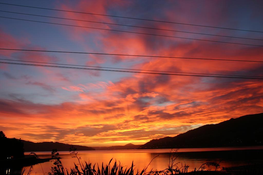 Arts Content Harbour View Macandrew Bay Exterior foto