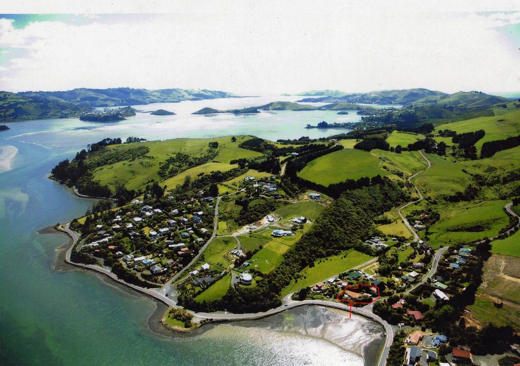 Arts Content Harbour View Macandrew Bay Exterior foto